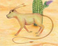 Gomaji