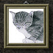 Katze