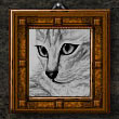 getigerte Katze