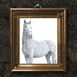 Pferd